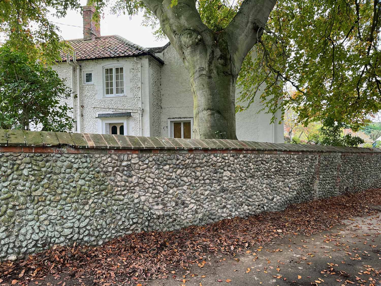 Repointing & Flintwork Norwich